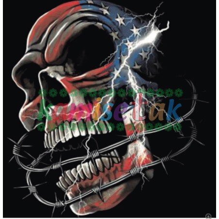 Diseño "Calavera USA Espino" para tu prenda | Kamisetak